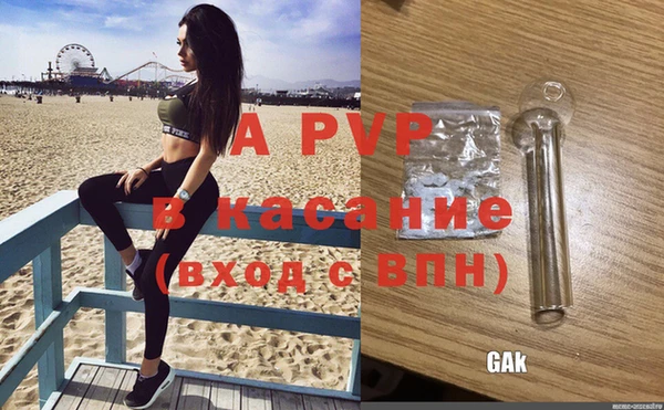 дживик Магас