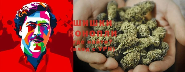 дживик Магас