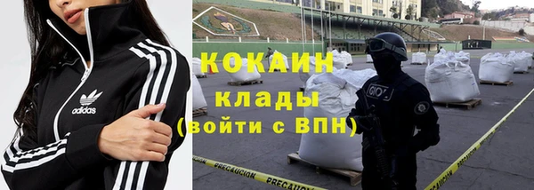 ПСИЛОЦИБИНОВЫЕ ГРИБЫ Майский