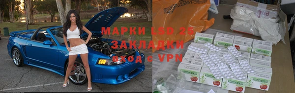 ПСИЛОЦИБИНОВЫЕ ГРИБЫ Майский