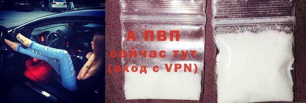 дживик Магас